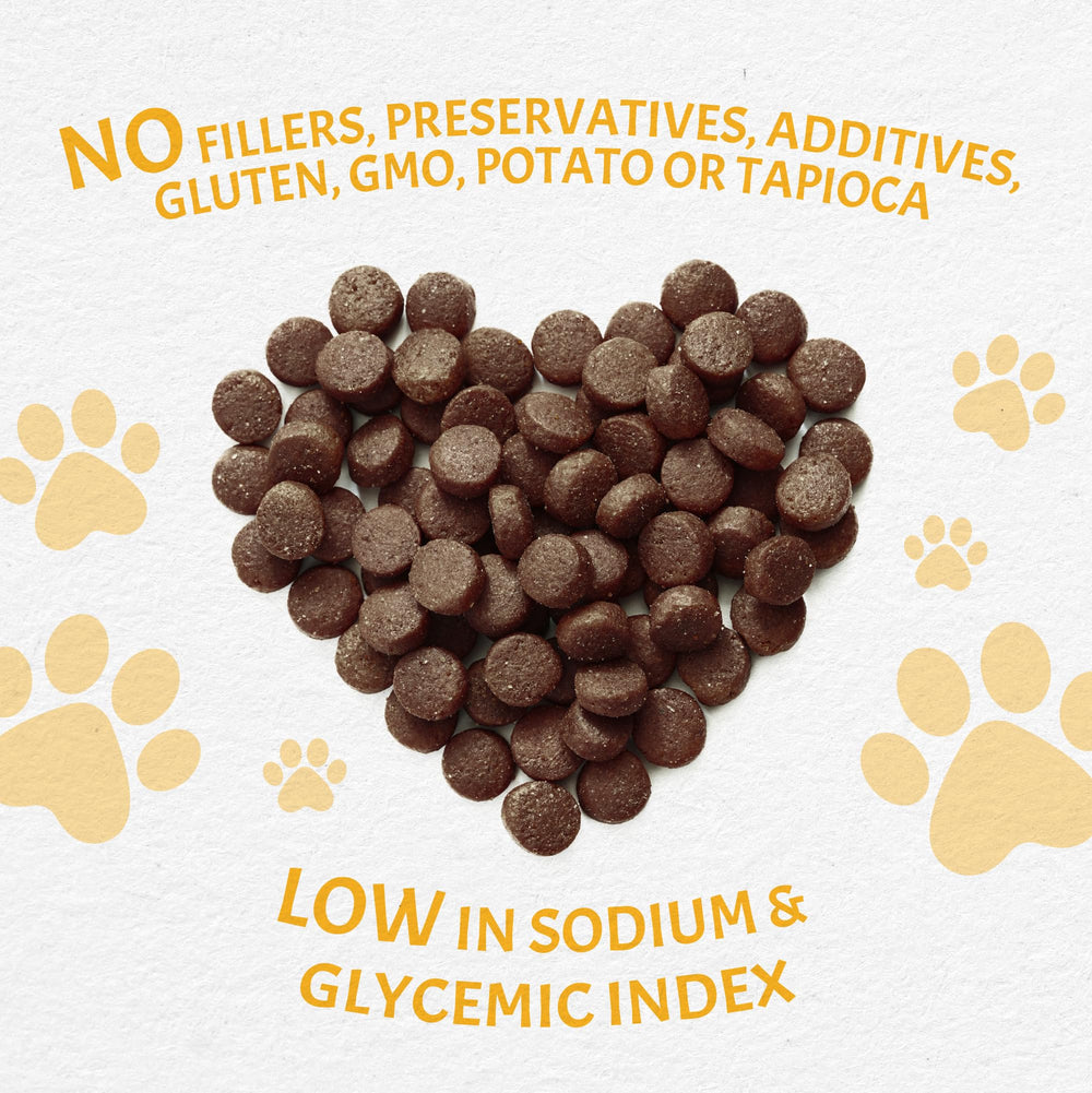 Canine Caviar Open Meadow chien mange croquettes.