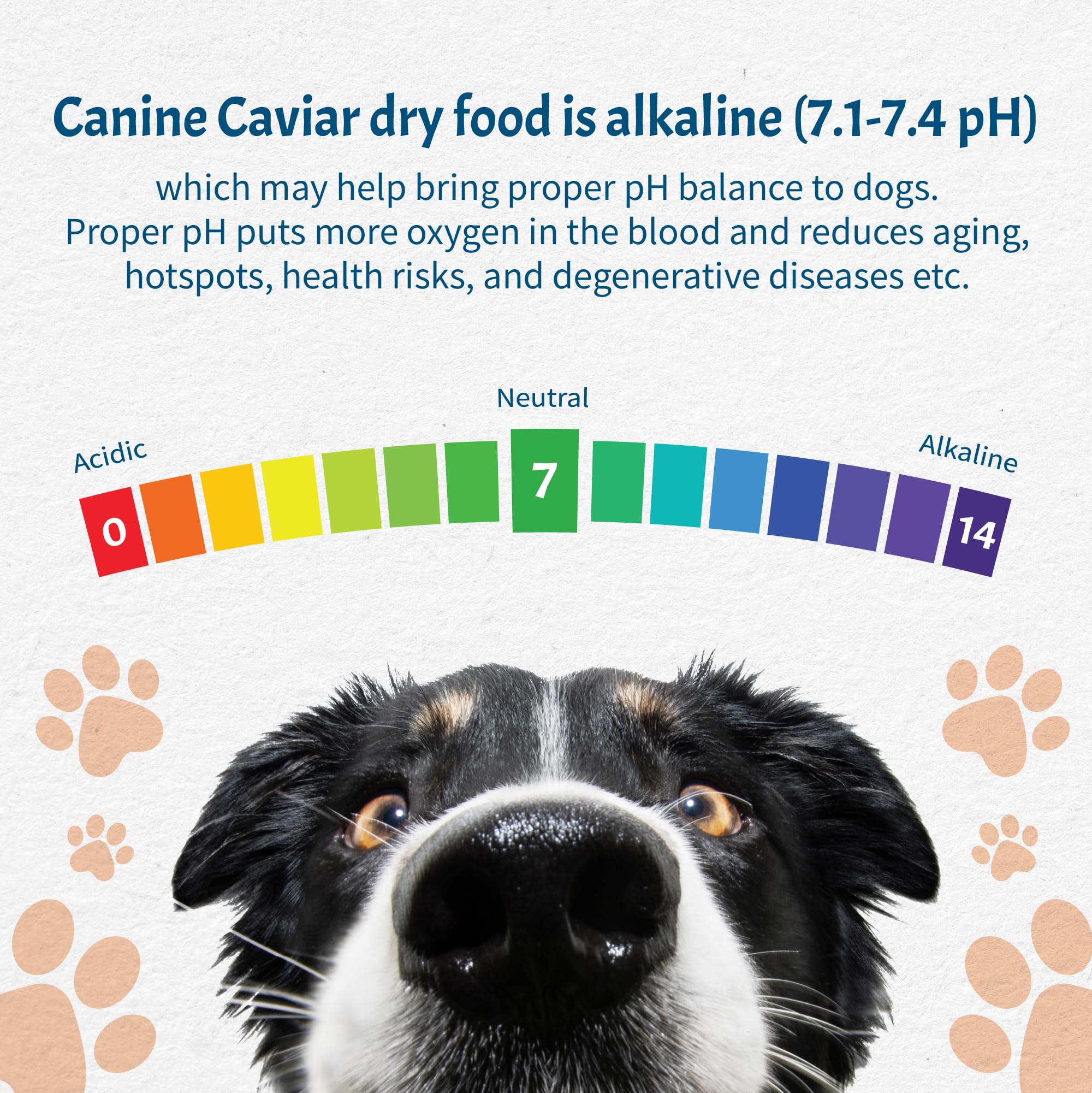 Canine Caviar Special Needs équilibre Oméga-3 et Oméga-6 pour peau saine.