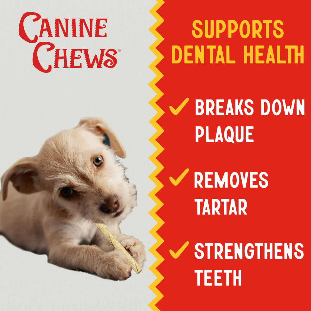 Canine Chews batonets dentaires durables pour chiots