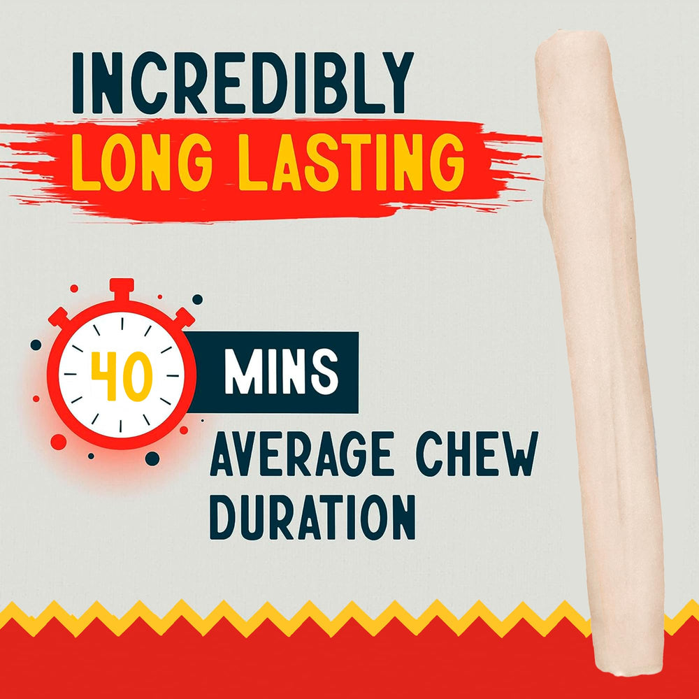 Canine Chews : chien mâchant joyeusement, expérience agréable et naturelle.