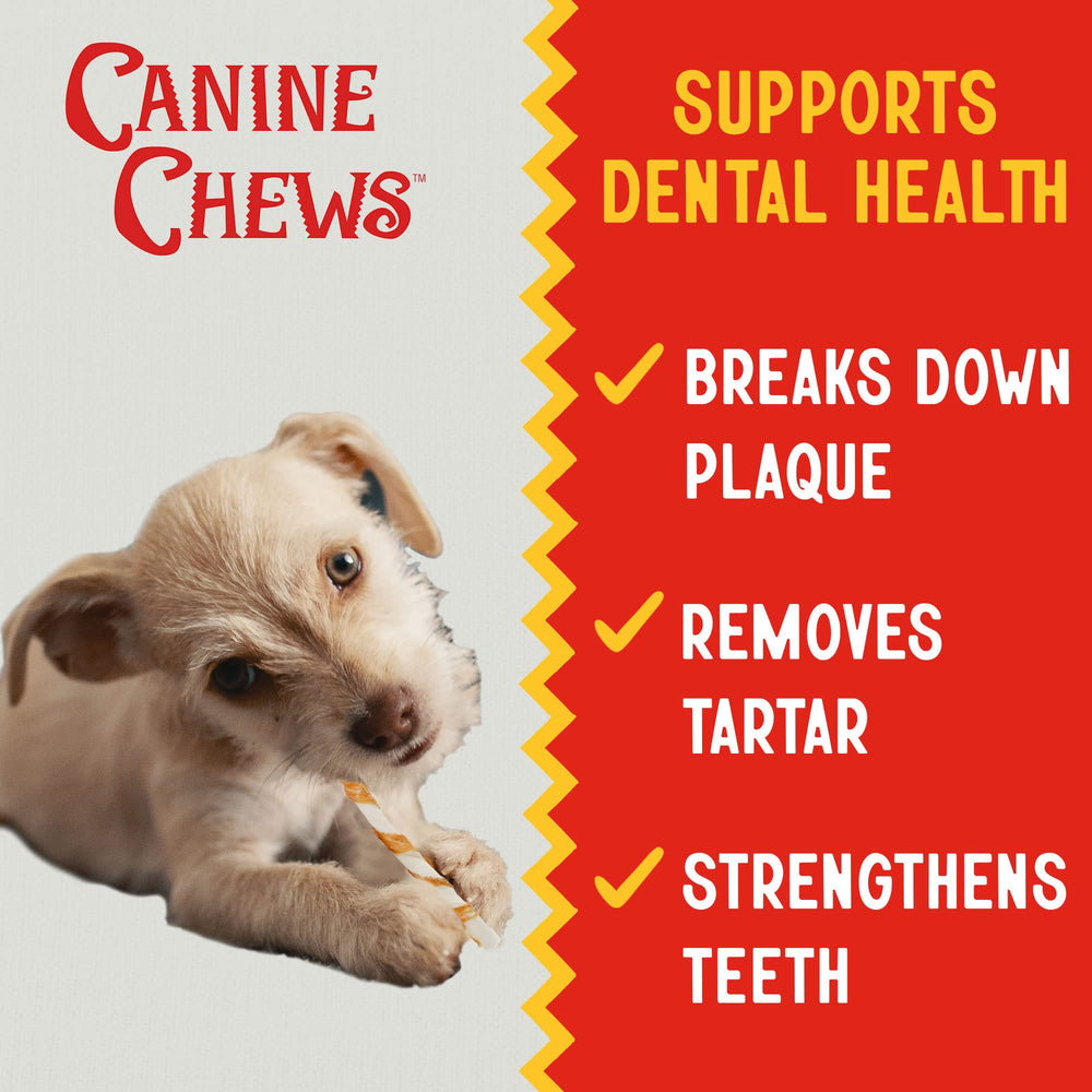 Canine Chews – mâchage long: divertissement prolongé pour chiens actifs.
