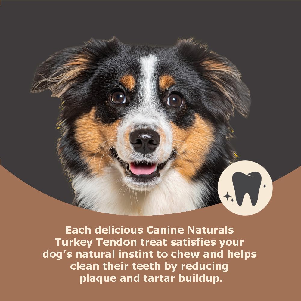 Produit sans poulet Canine Naturals pour chiens sensibles ou allergiques.
