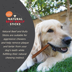 Canine Naturals baton boeuf visuel 02 – texture durable pour mâcheurs puissants