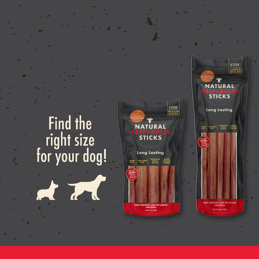 Chien mordillant Canine Naturals sur tiges de bœuf sans odeur.