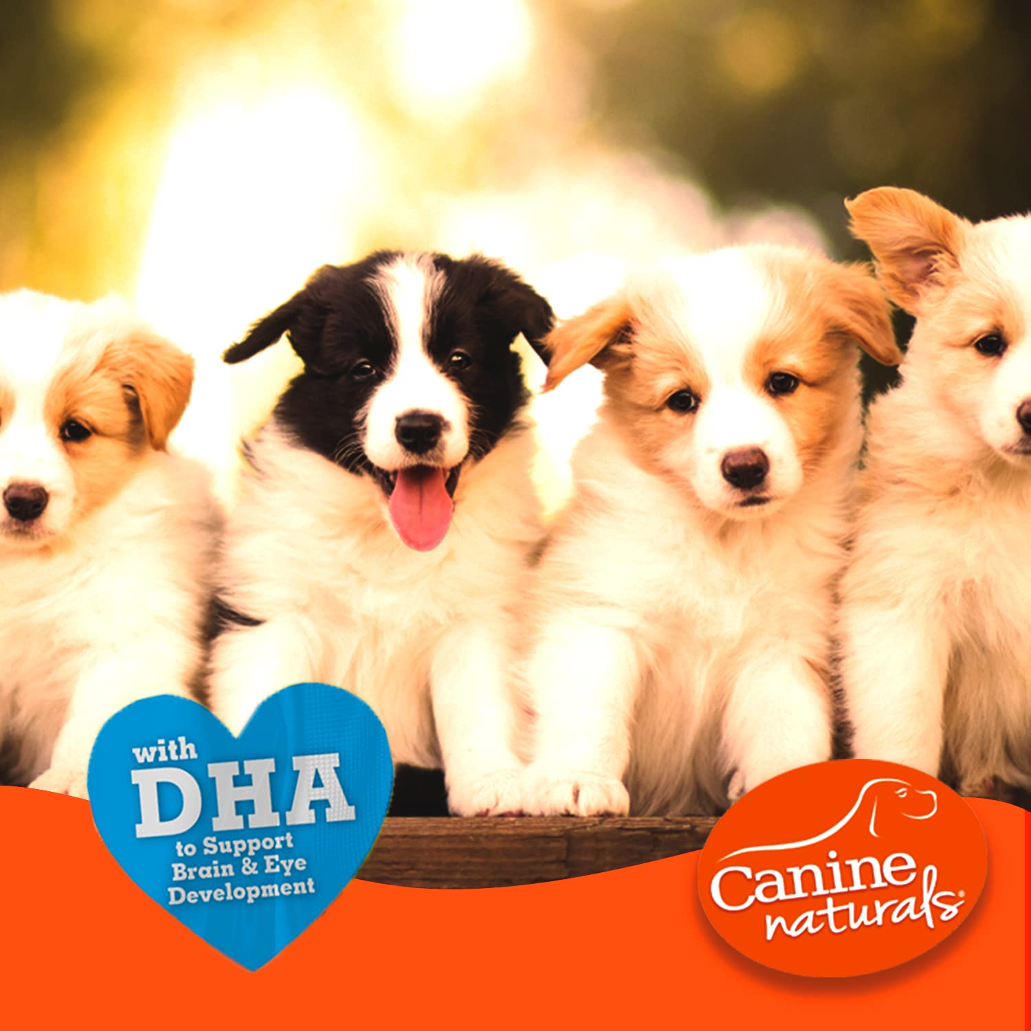 Hygiène dentaire et mastication saine avec Canine Naturals pour chiots.