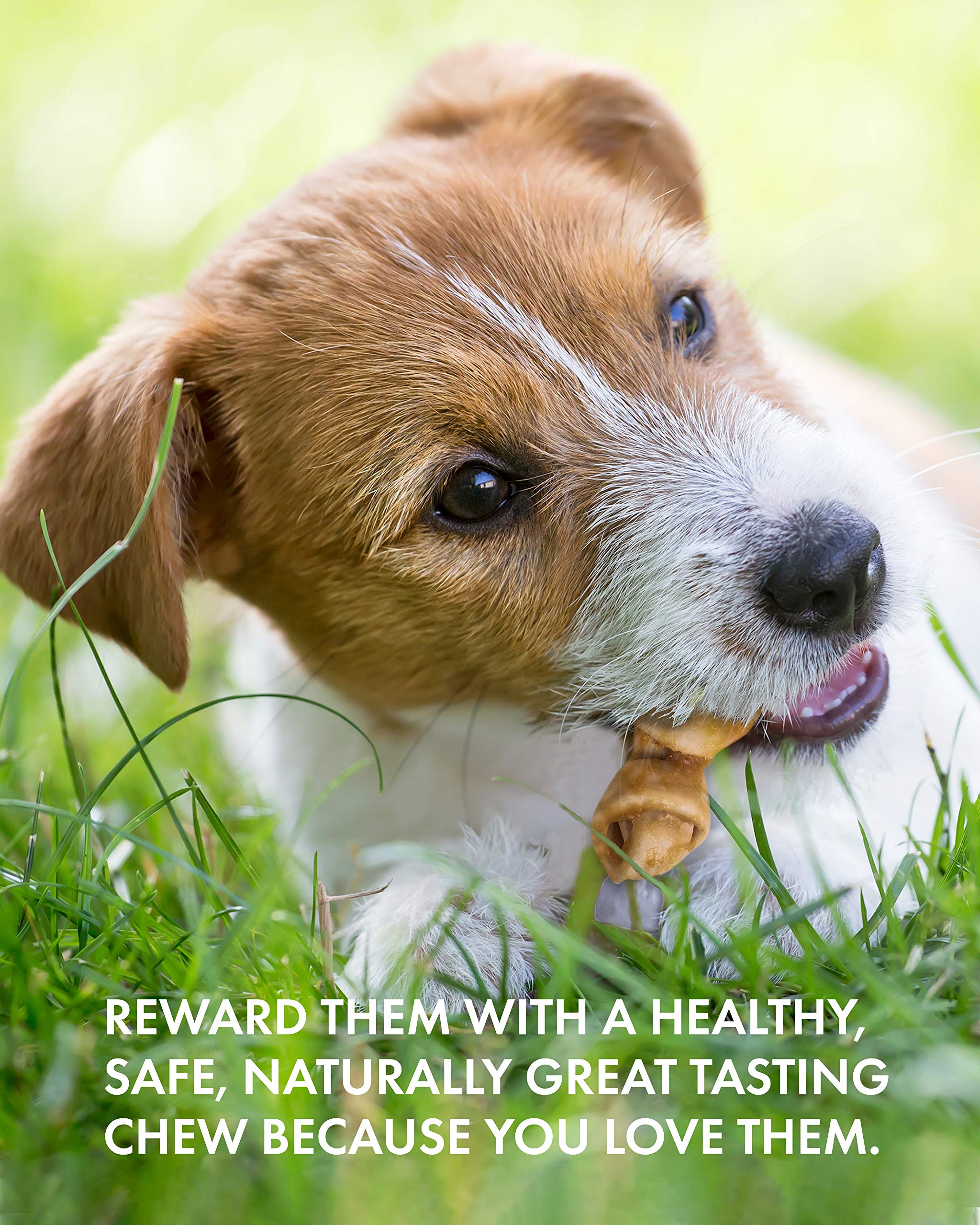 Canine Naturals poulet mini-noeud – hygiène dentaire potentielle