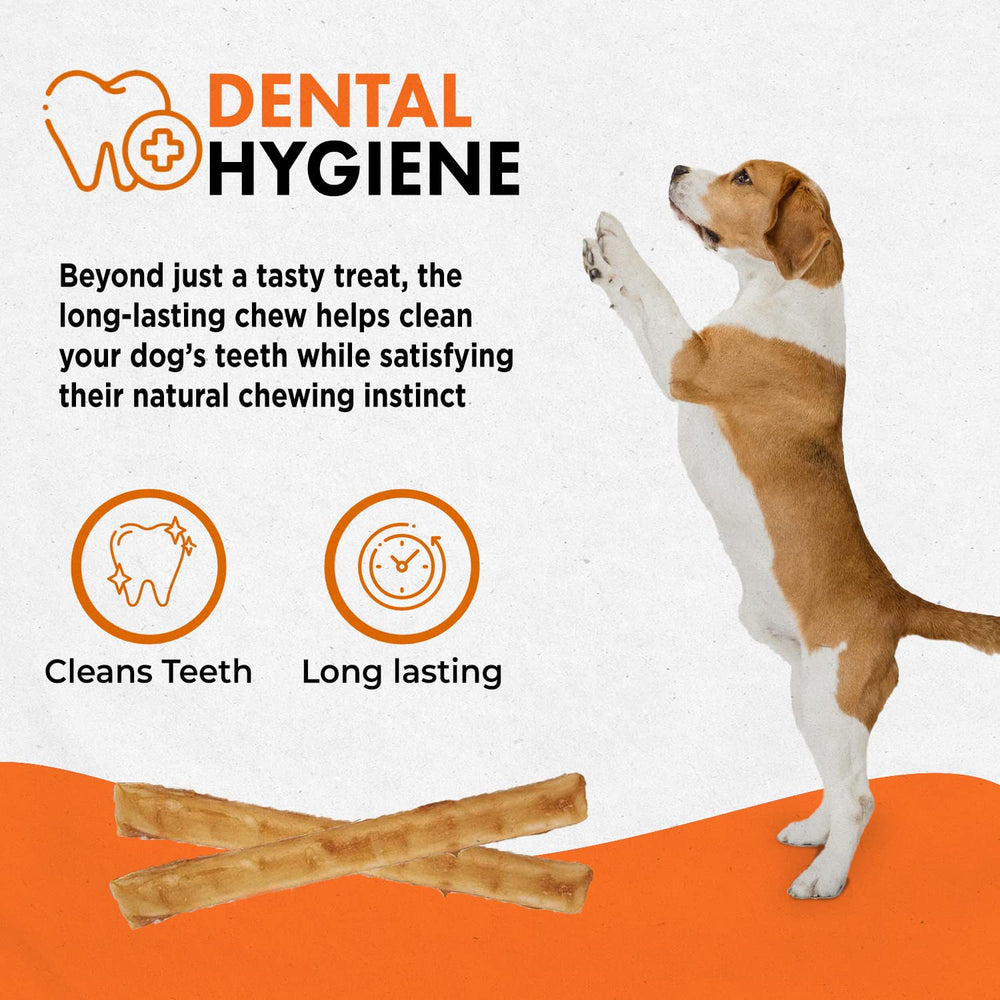 Canine Naturals hygiene dentaire: mastication bénéfique pour les dents