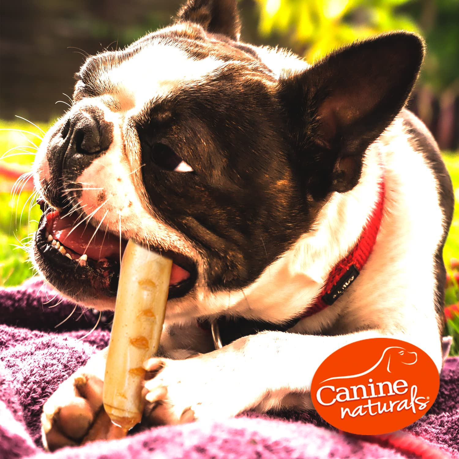 Canine Naturals bouchée sans arômes artificiels, saveur naturelle.