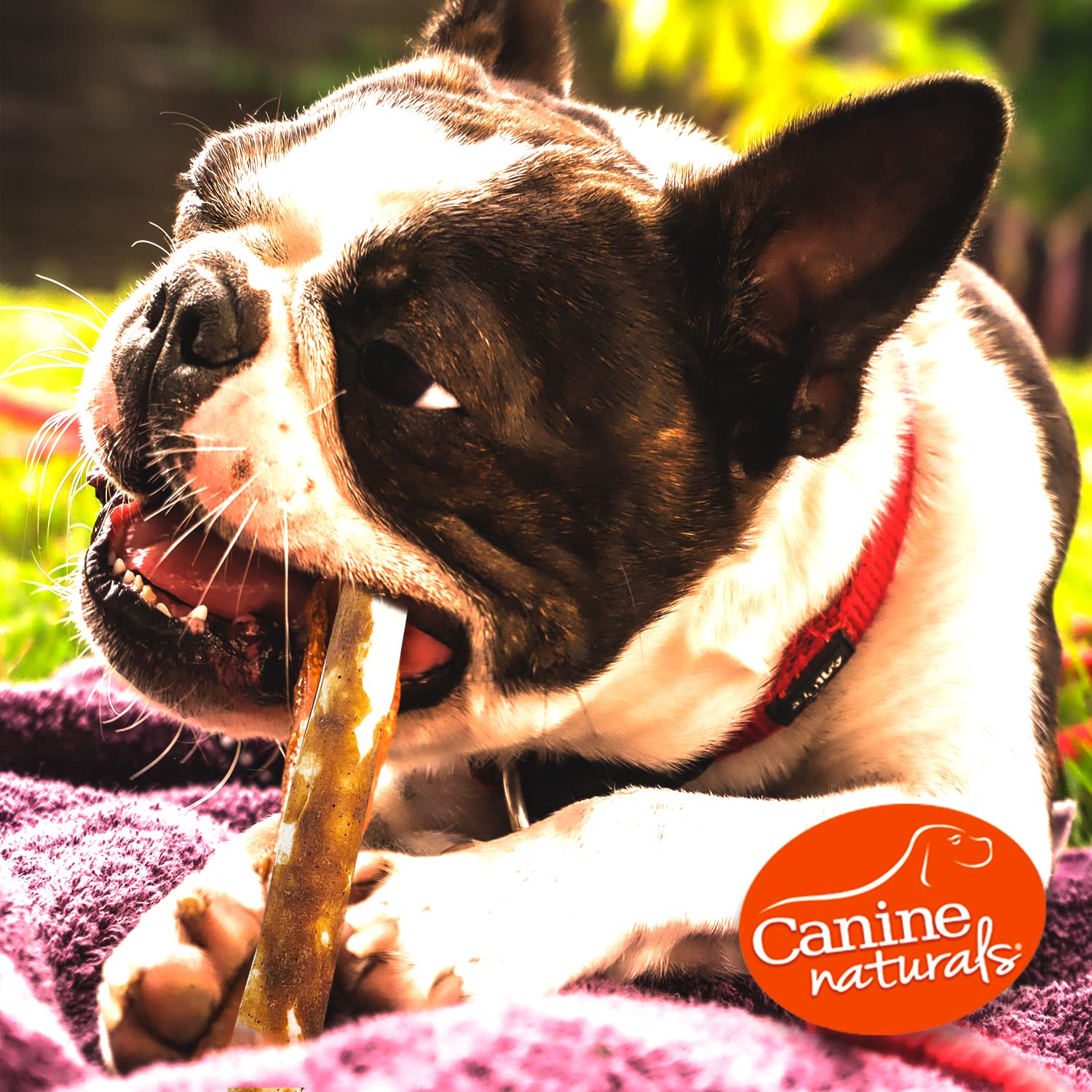 Canine Naturals sans artificiels, pas de colorants ou additifs indésirables.