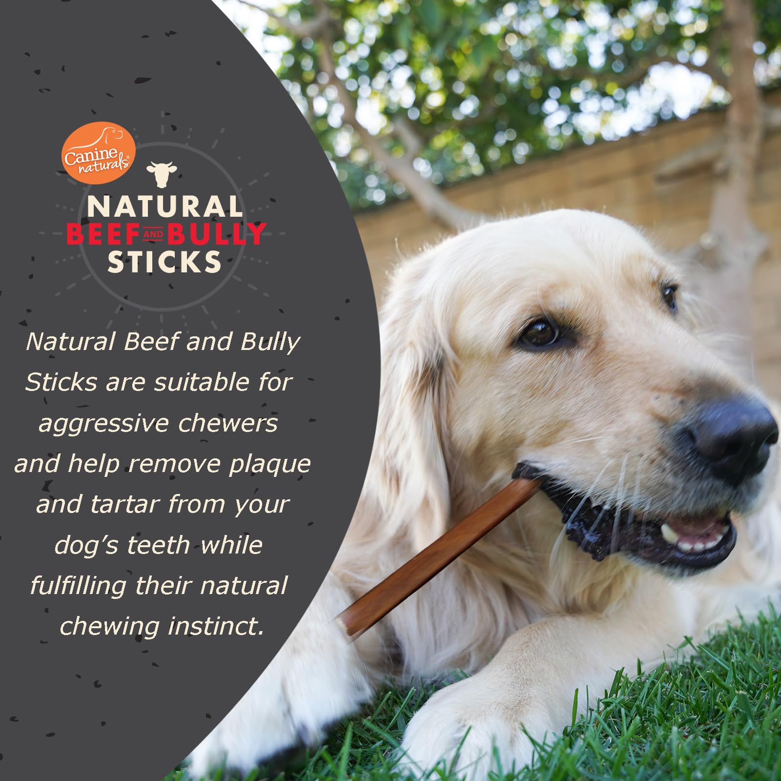 Canine Naturals tiges de bœuf sans Odeur, mastication durable.