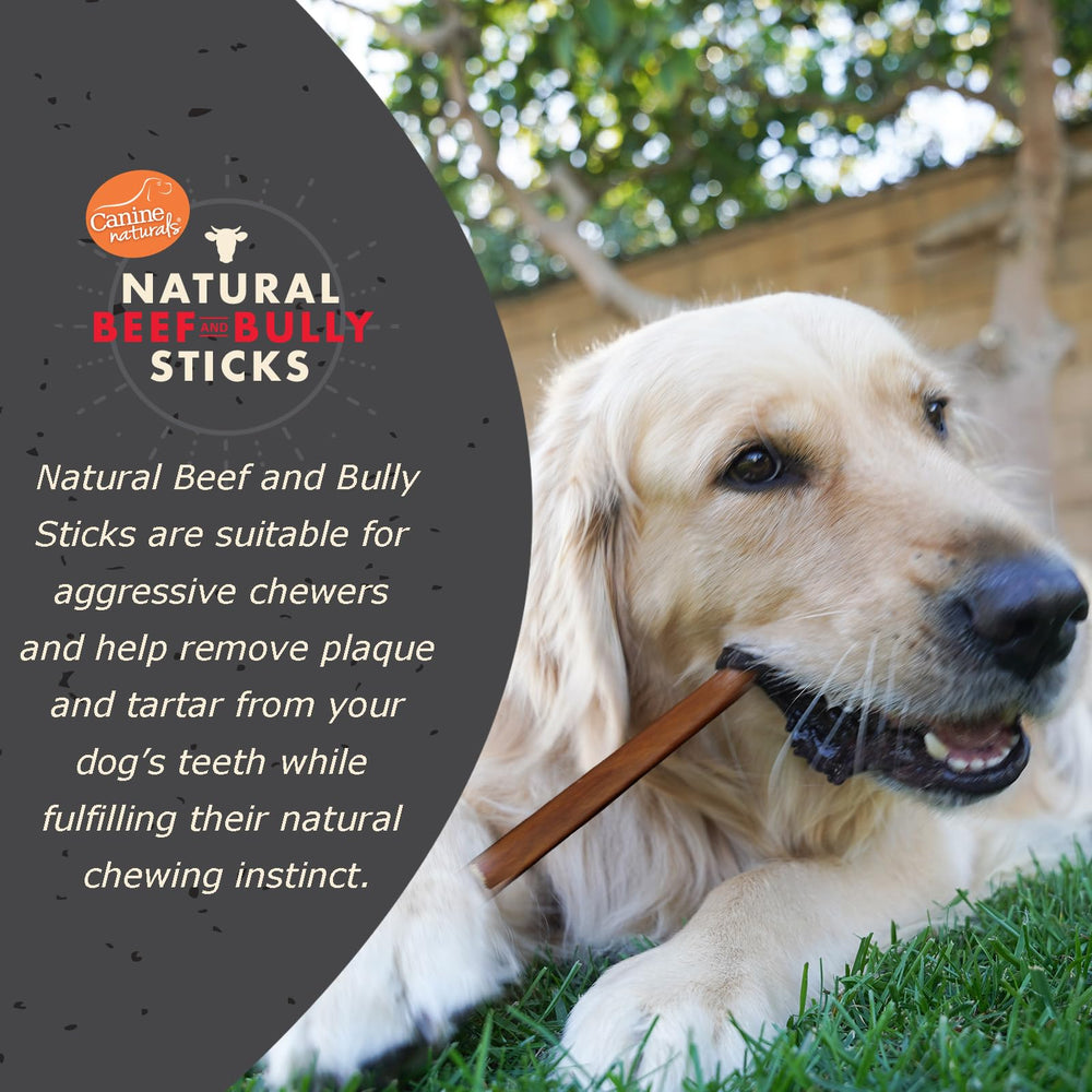 Canine Naturals tiges de bœuf sans Odeur, mastication durable.