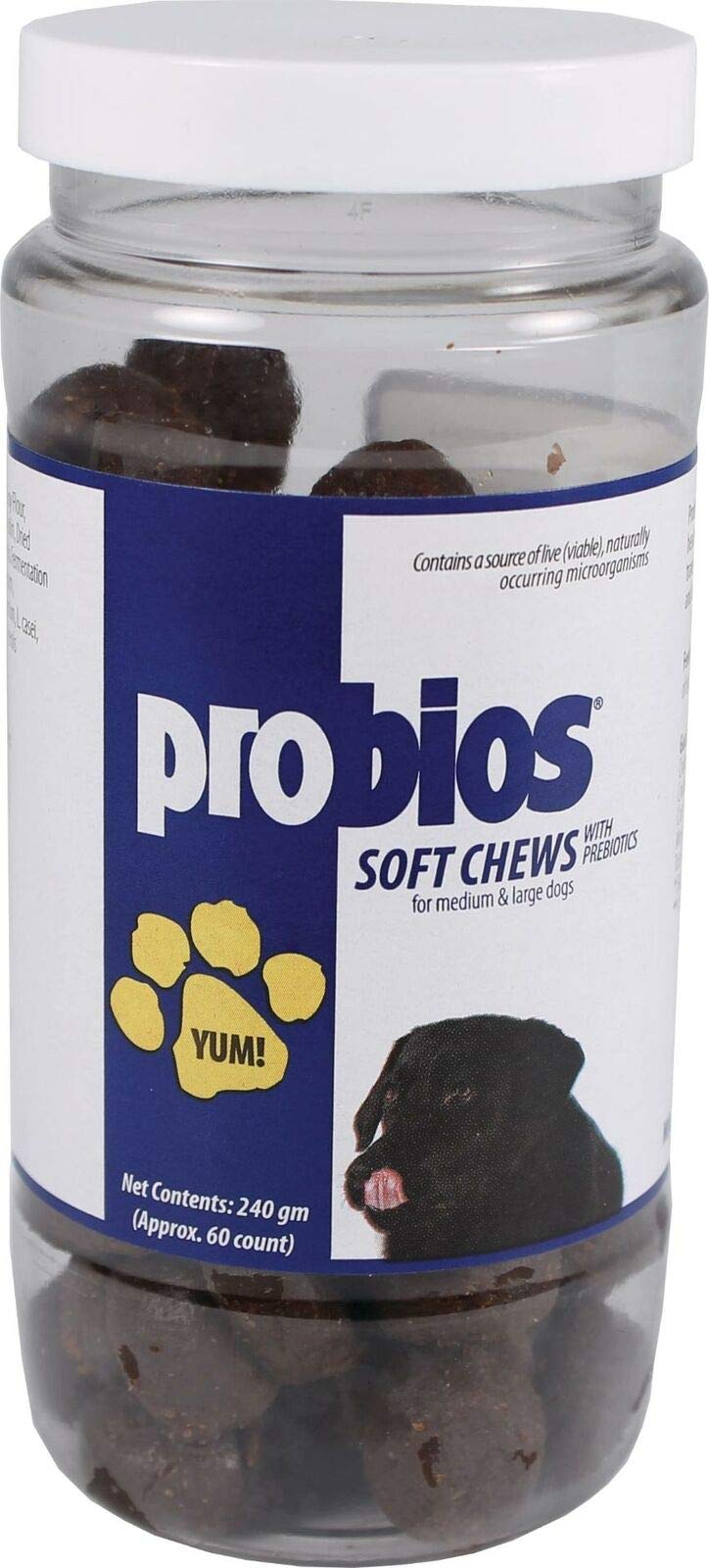 Friandises molles Canine Probios Spriek pour gros chiens, soutien digestif quotidien et plaisir.