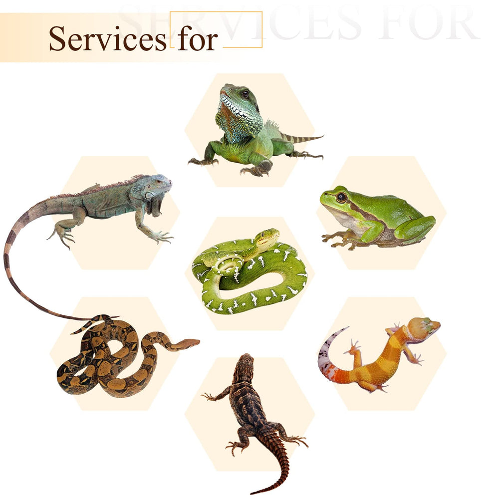 Canlierr vigne jungle reptile 7 pieds, permet déplacement et stimulation du reptile.
