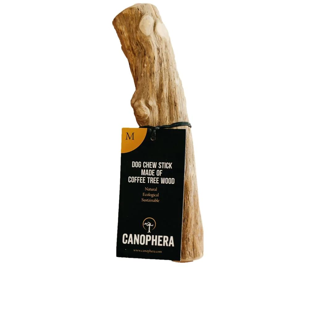 Canophera batonnet bois cafe pour chien – stimulation mentale et hygiène dentaire
