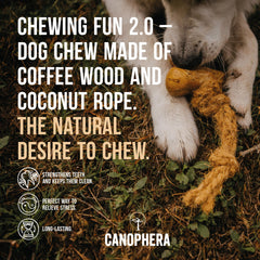 Canophera Dog Chew – stimulation prolongée grâce au bois café et corde coco.