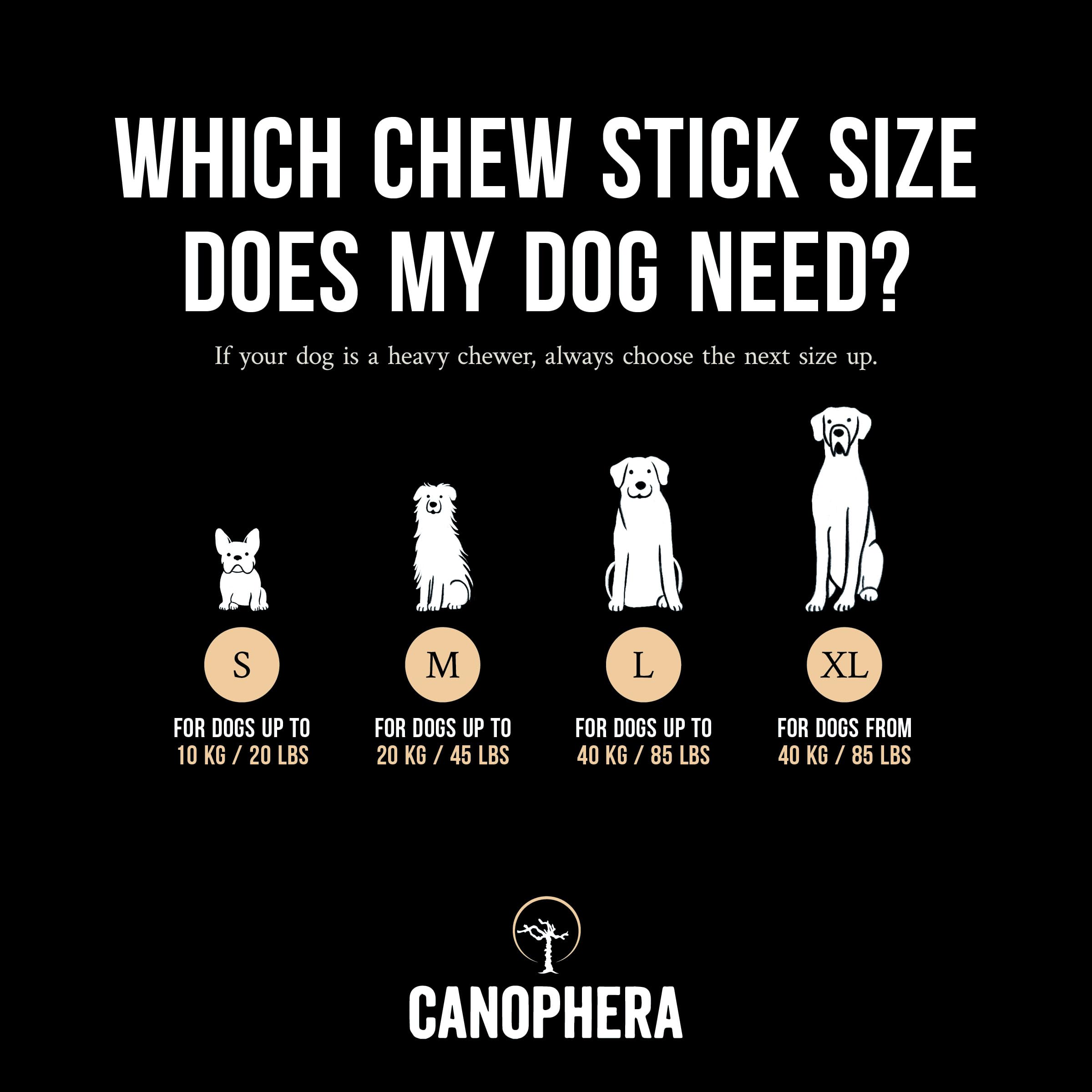 Canophera Dog Chew – nettoyage dentaire potentiel et jeu actif.