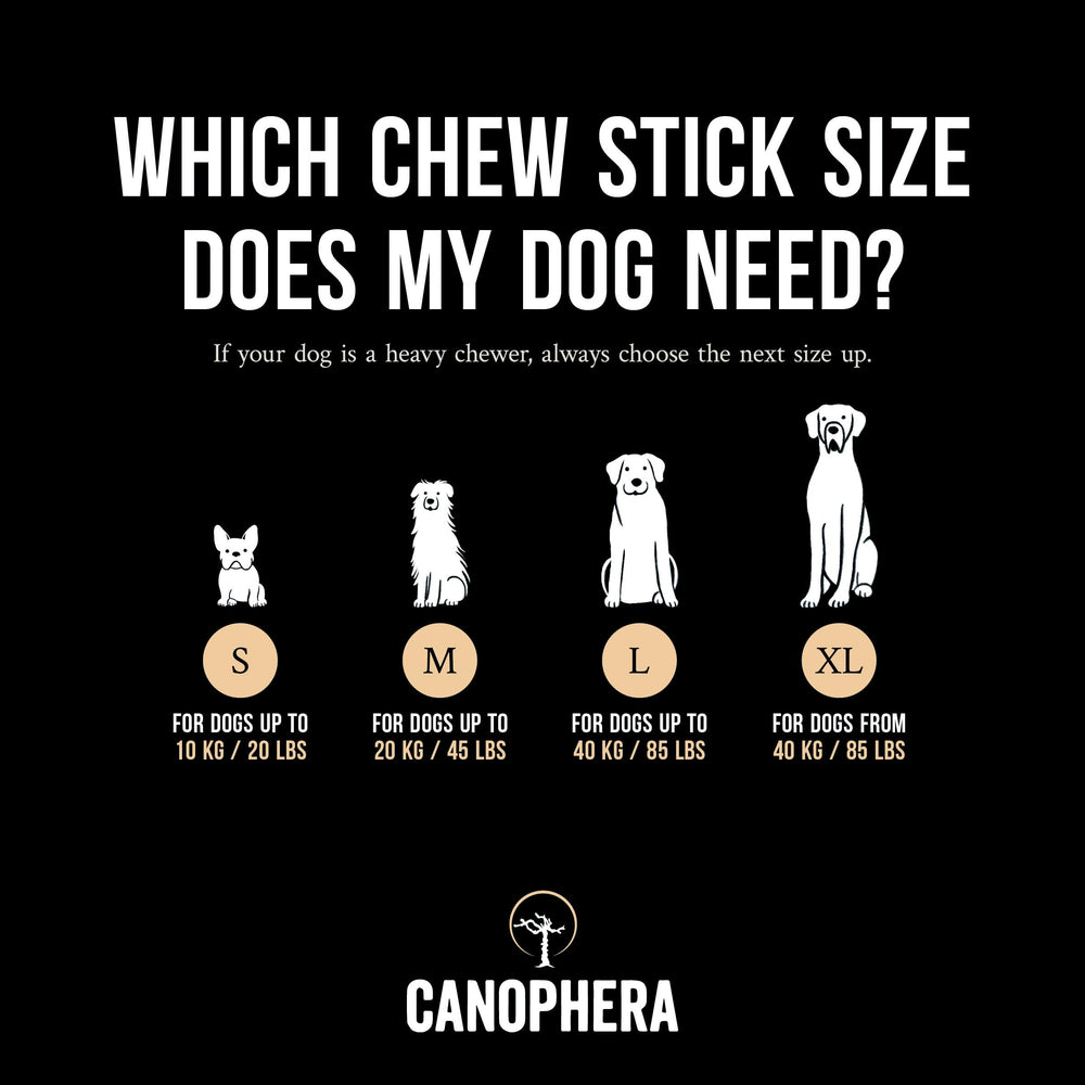 Canophera Dog Chew – nettoyage dentaire potentiel et jeu actif.
