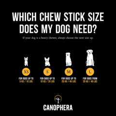 Canophera usage-stress-relief : la mastication peut apaiser le chien.