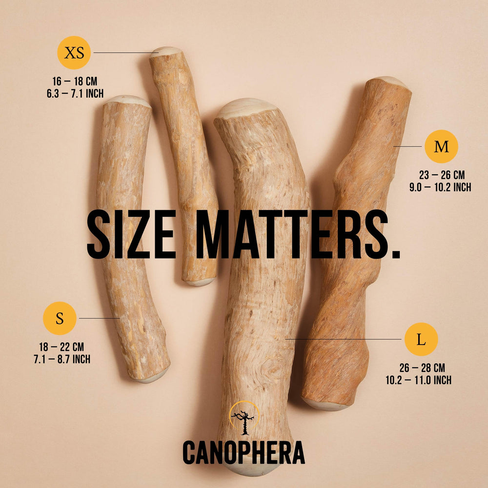 Canophera sans-cafeine-vegan : option naturelle et éthique pour chiens.