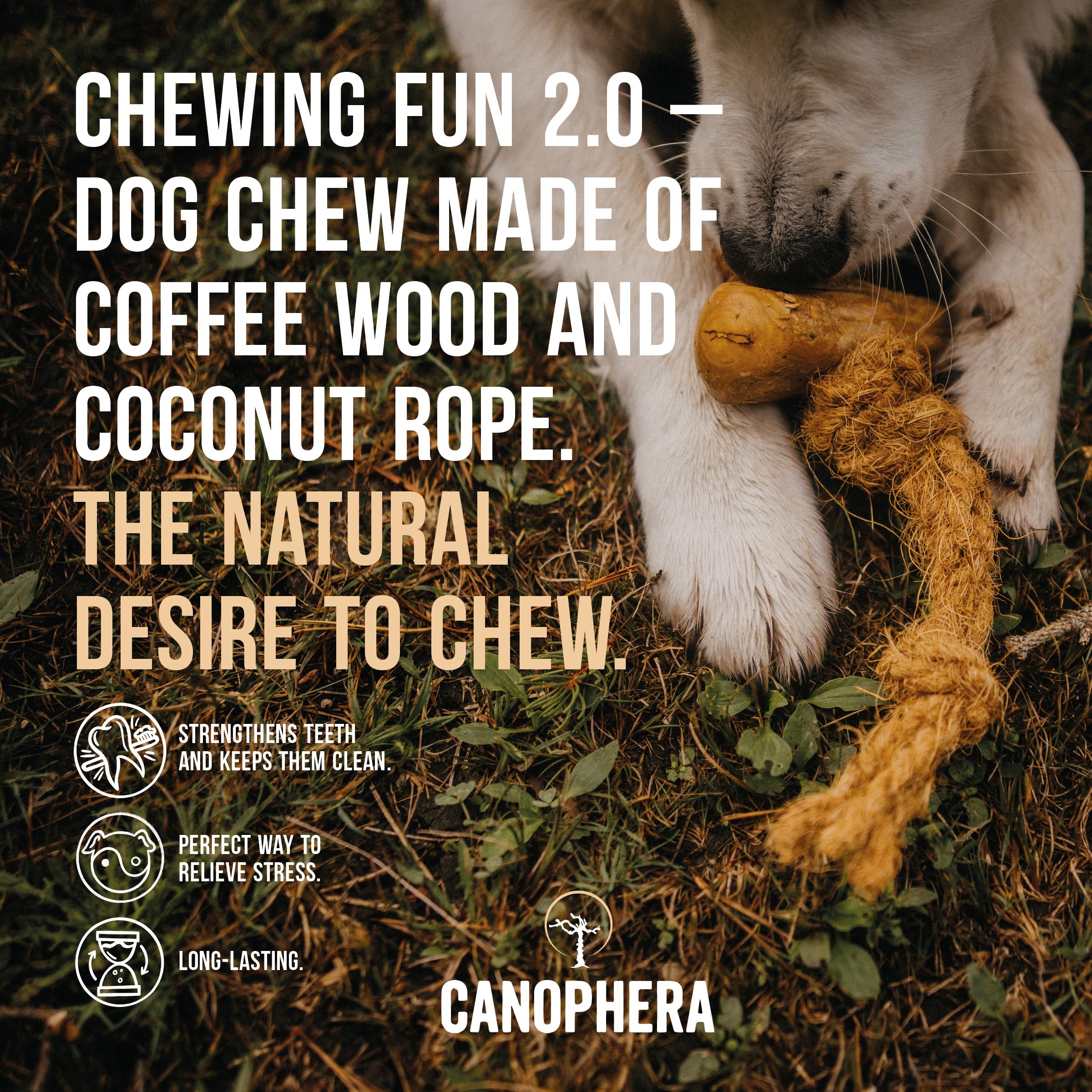 Canophera texture bois café corde coco pour une expérience de mastication durable.