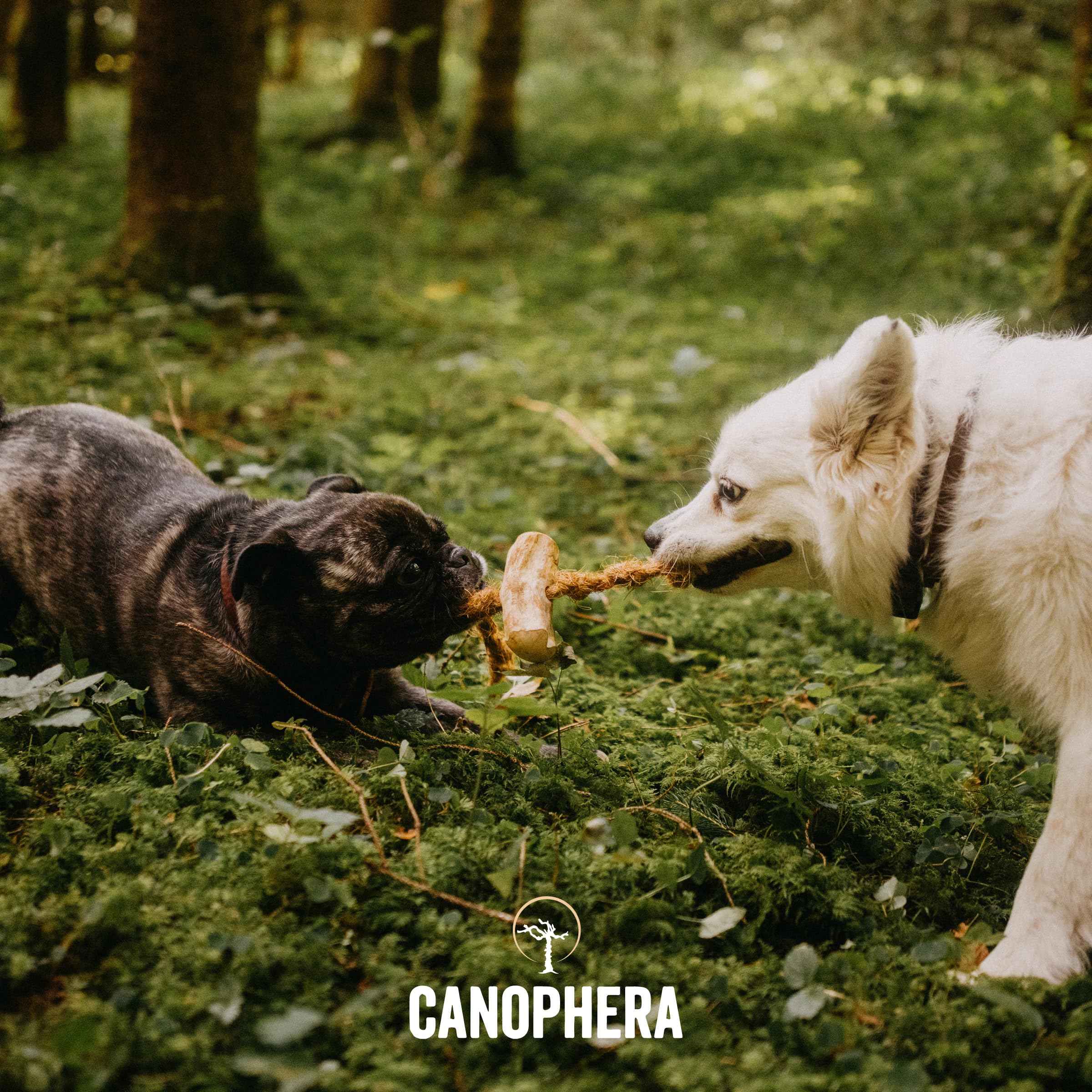 Canophera usage-quotidien bois café corde coco – produit végan et sans caféine pour tous les chiens.