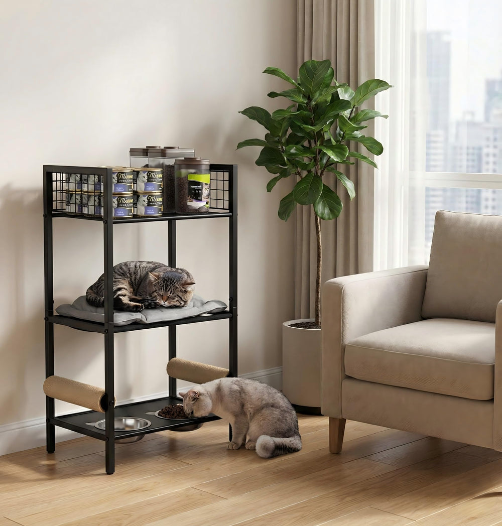 Canyave Tour Chat 4en1 : gamelles doubles en inox, pratiques pour repas et eau.