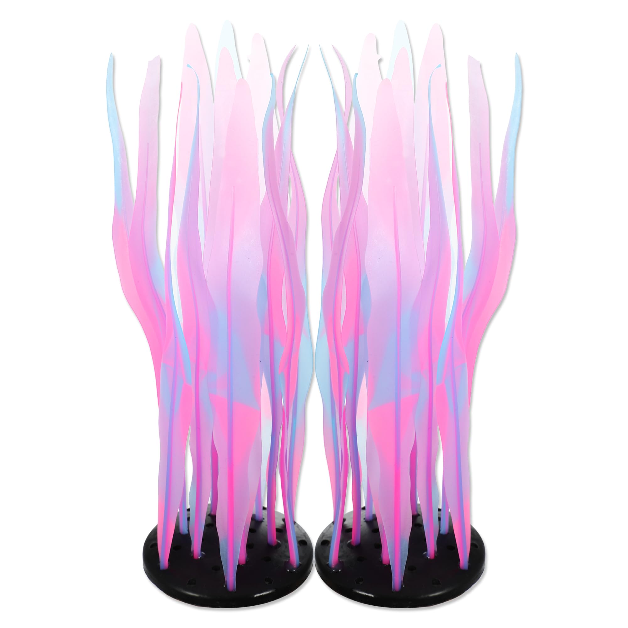 CAPASTEC algue lumineuse: plante d'aquarium rose qui anime l'aquarium avec ses couleurs.