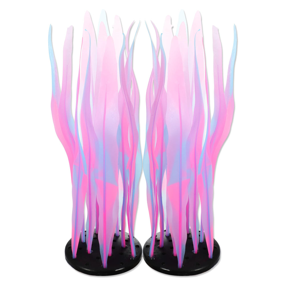 CAPASTEC algue lumineuse: plante d'aquarium rose qui anime l'aquarium avec ses couleurs.