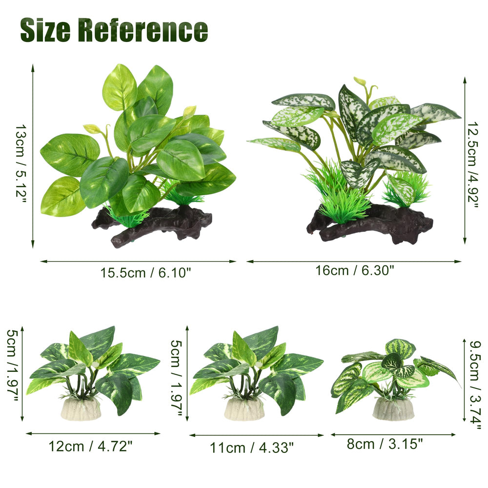 CAPASTEC ensemble de 5 plantes soyeuses pour aquarium sûr.