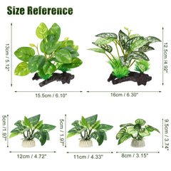 CAPASTEC ensemble de 5 plantes soyeuses pour aquarium sûr.
