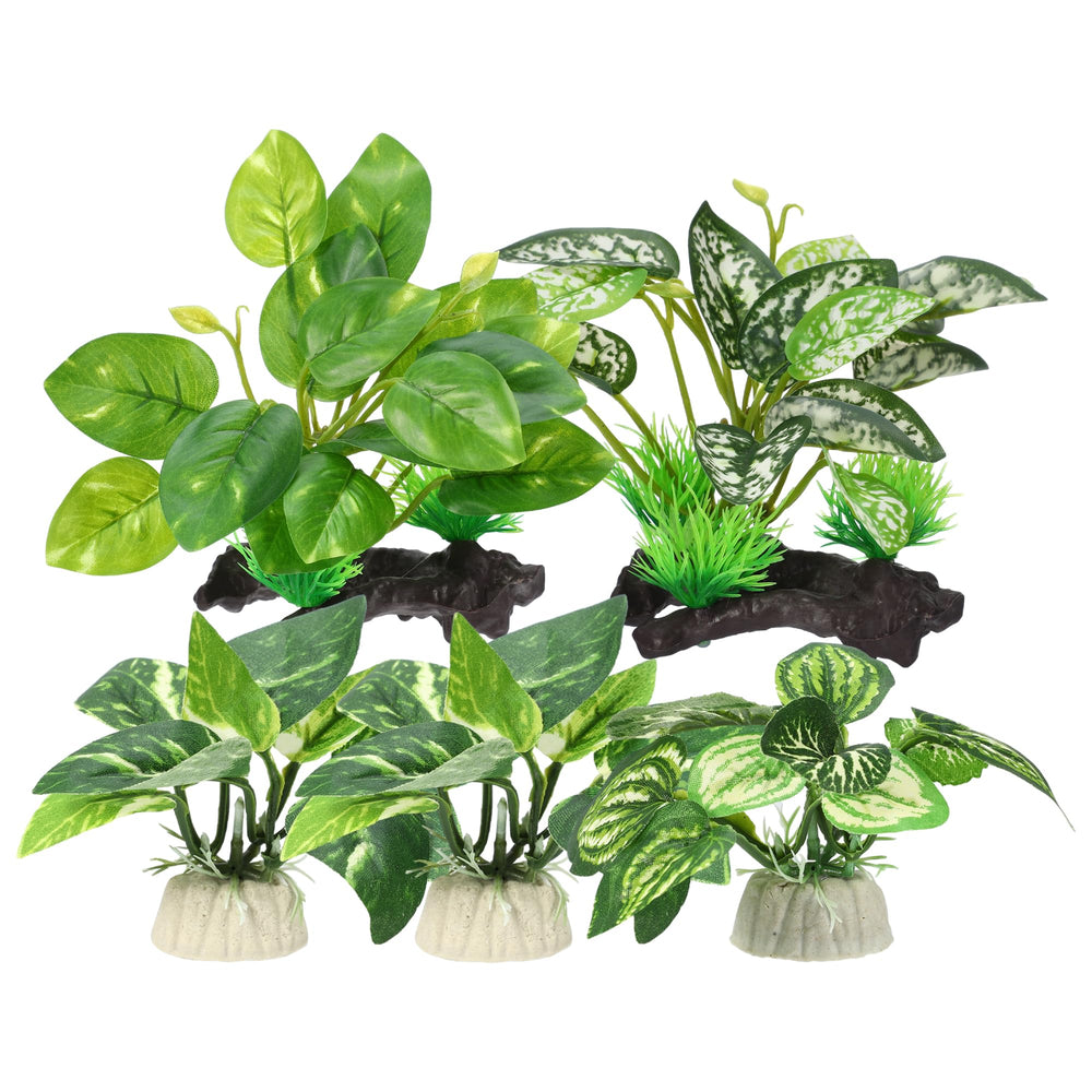 CAPASTEC plantes plastiques pour aquarium avec feuilles vertes, décor coloré et refuge sûr.