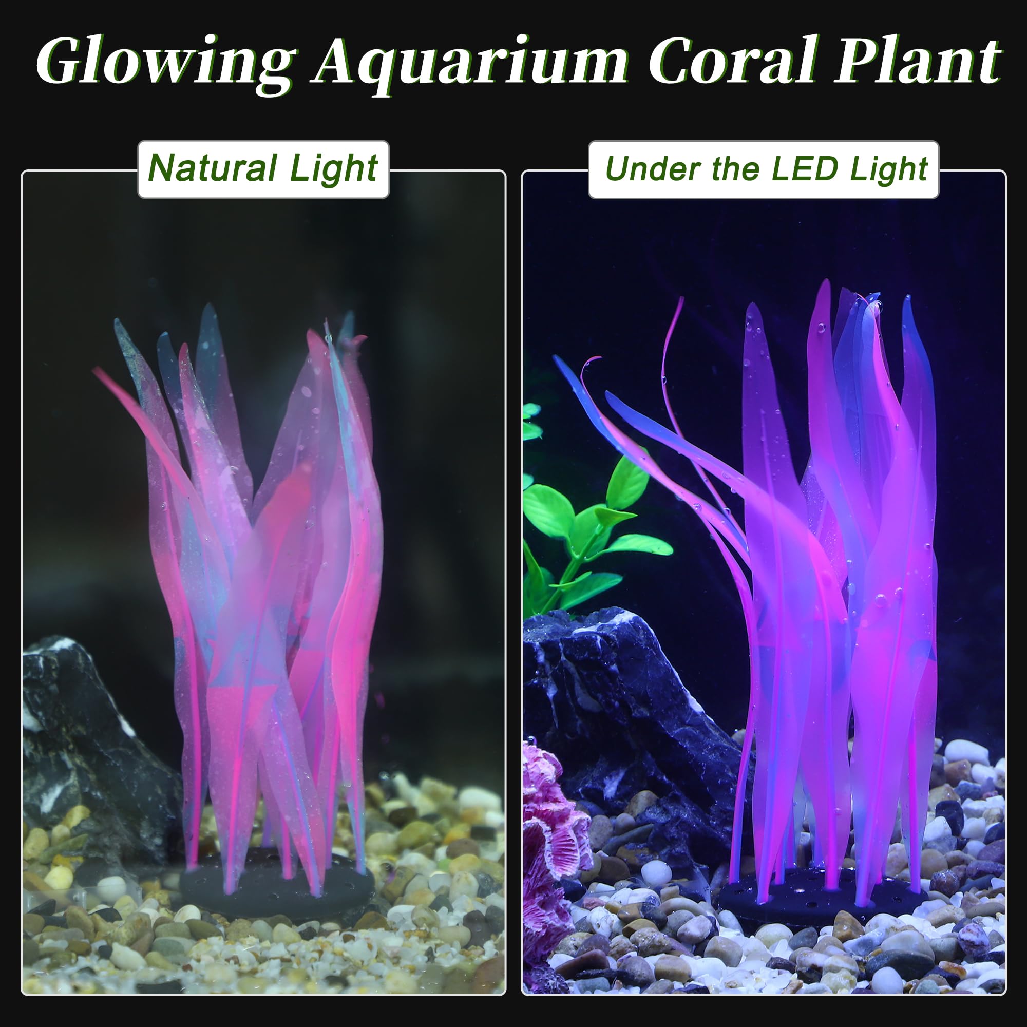 CAPASTEC accessoire aquarium lumineux: plaque silicone rose qui illumine subtilement l’espace.