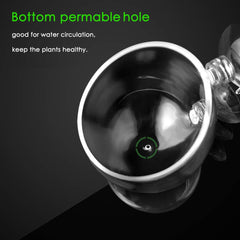 Capetsma dimensions 2,4×2,4 pouces pot-plante compact pour aquarium.