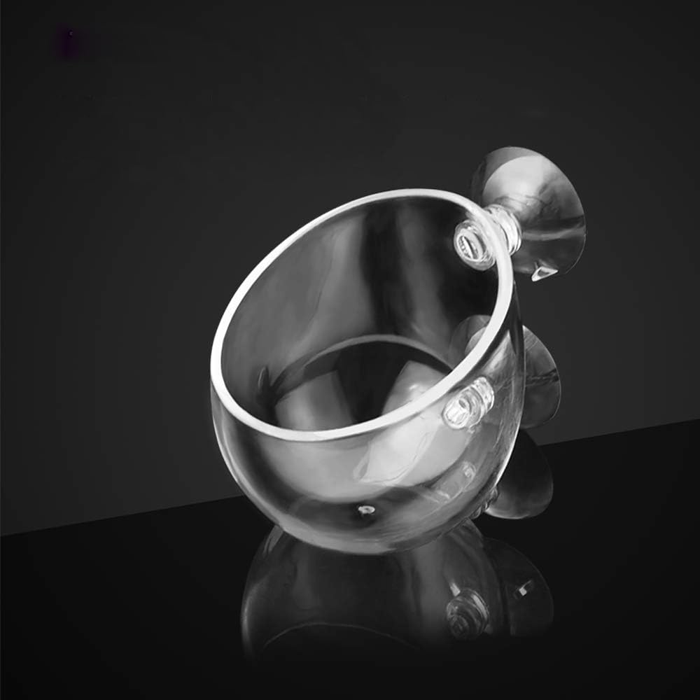 Capetsma pot d'aquarium en verre avec ventouses, améliore le décor et l'habitat végétal.