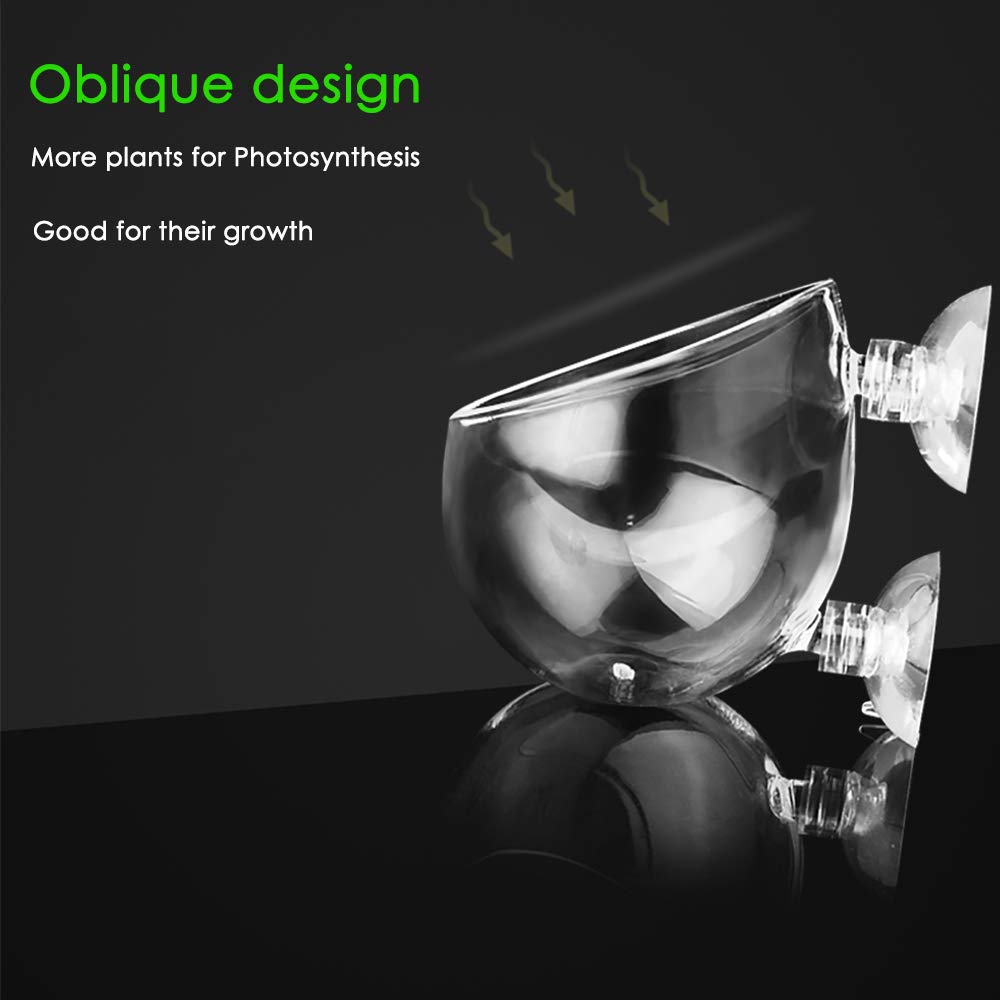 Capetsma pot en verre cristallin avec ouverture inclinée pour croissance optimale.