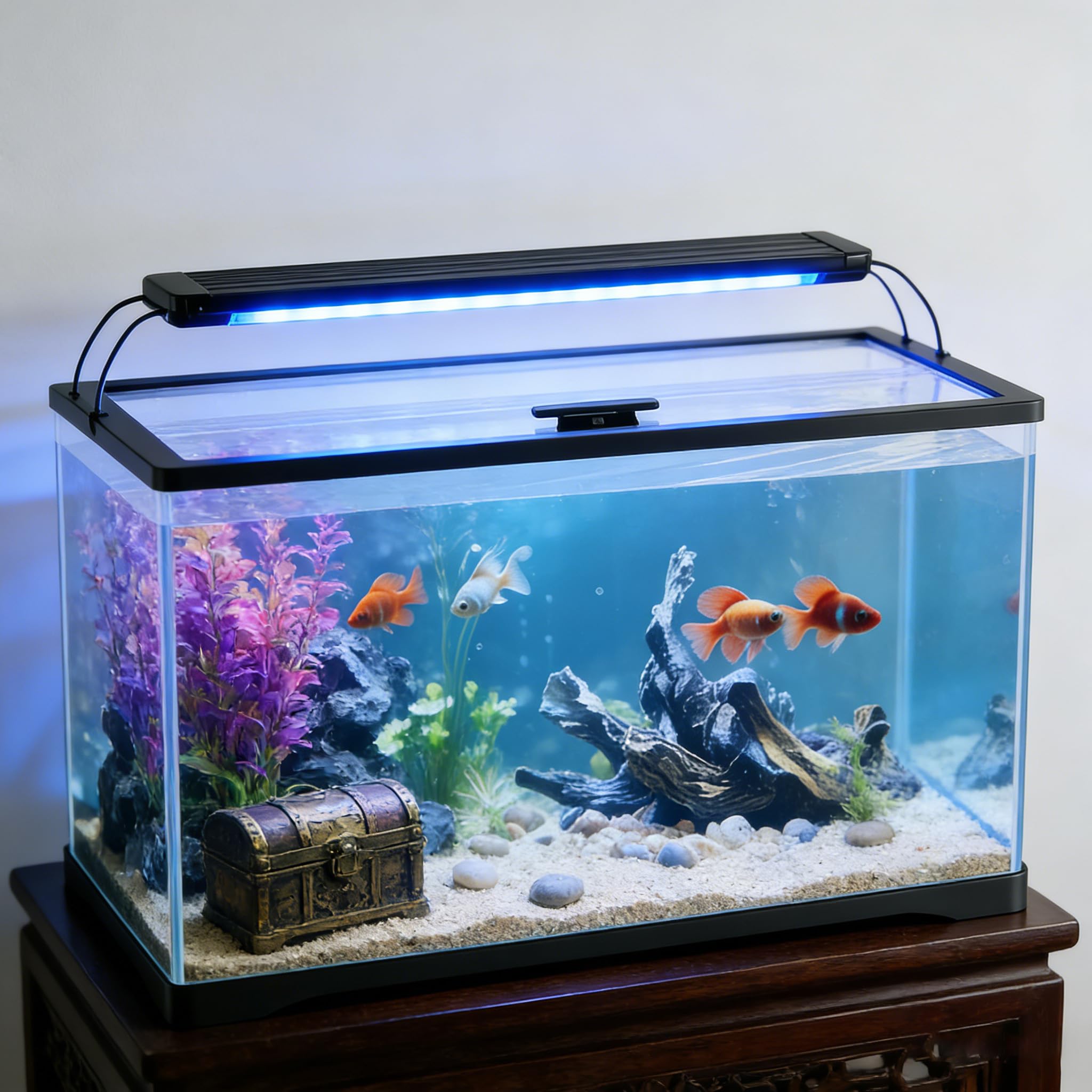 Capot-verre-aquarium evaporation-reduite: réduit l’évaporation et stabilise l’environnement
