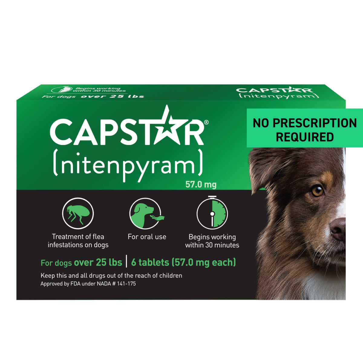 Capstar: boîte de comprimés pour chien prête à l’emploi
