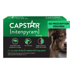Capstar: boîte de comprimés pour chien prête à l’emploi