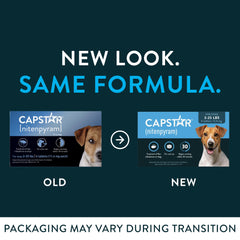 Capstar boites-douze-doses: emballage pratique pour deux boîtes.