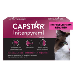 Capstar: comprimé chat dans la main prêt à administrer, effet rapide.