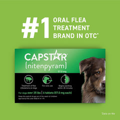 CAPSTAR 57 mg utilisé pour chiens de 25–125 livres, dosage pratique.