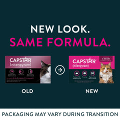 Capstar: comprimé prêt à être caché dans la nourriture pour le chat.