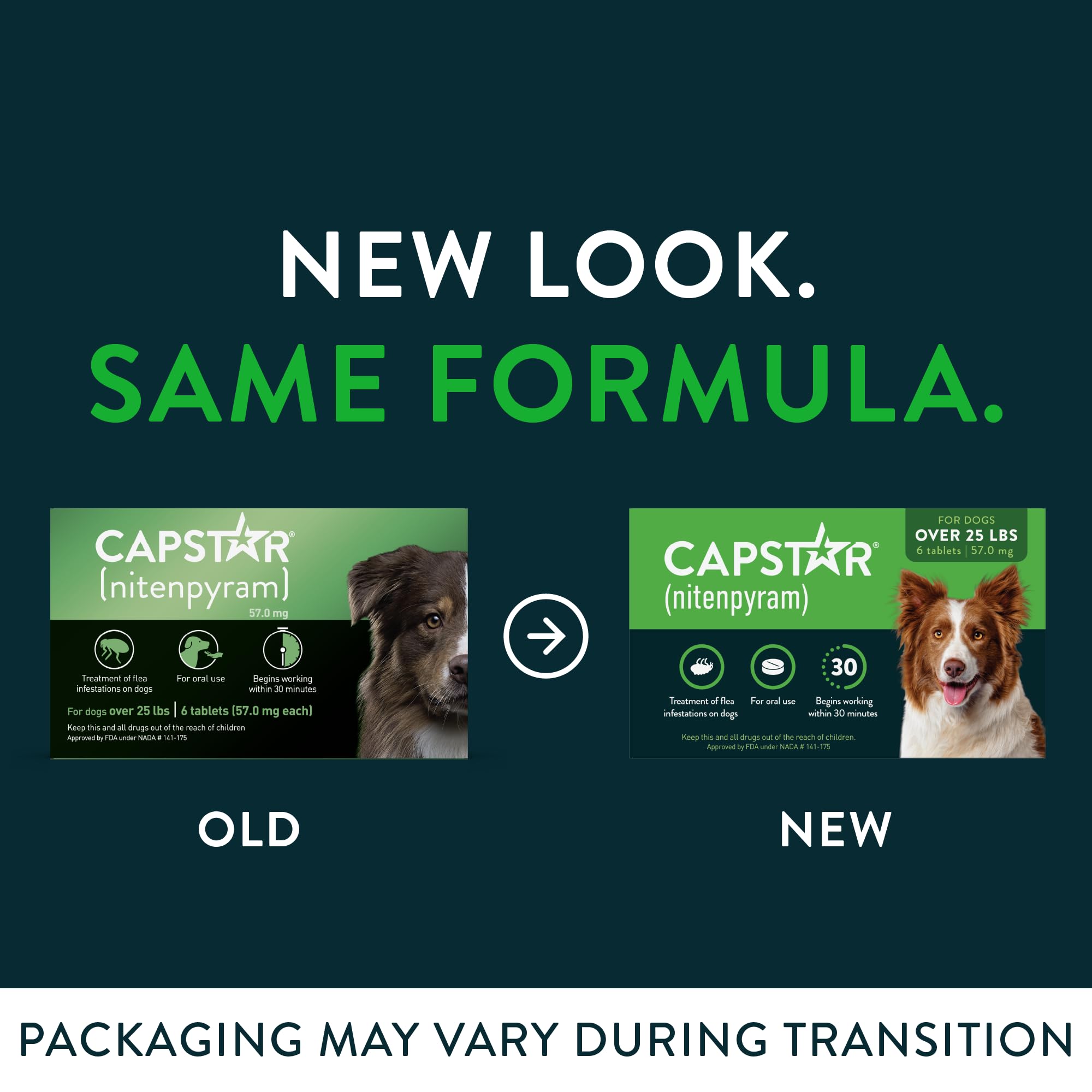 Capstar tablette chien – dosage recommandé facile à administrer