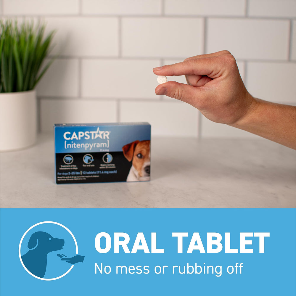 Capstar : emballage et guide dutilisation pour les propriétaires.