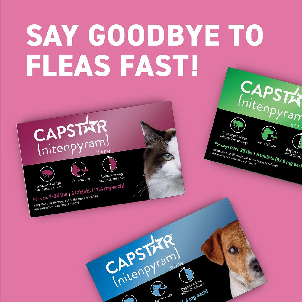 Capstar: sécurité confirmée pour les chatons de 4 semaines et plus.