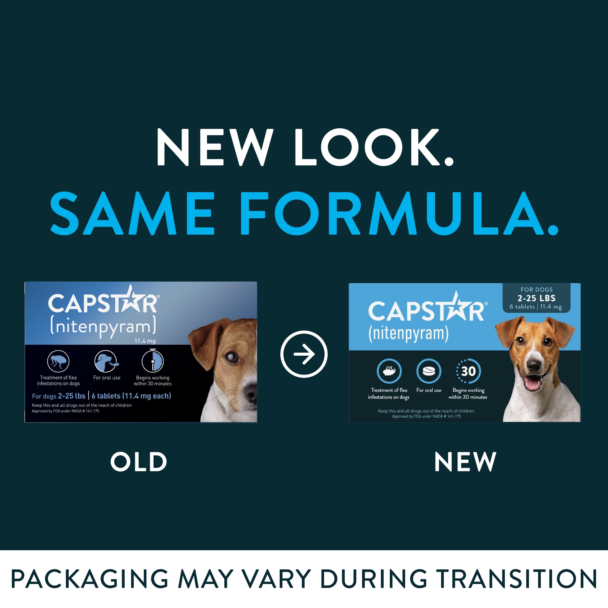 Capstar : tablette anti-puces en gros plan démontrant le dosage.