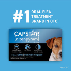 Capstar tablettes-avant-apres-chien: aperçu visuel avant et après l'infestation.