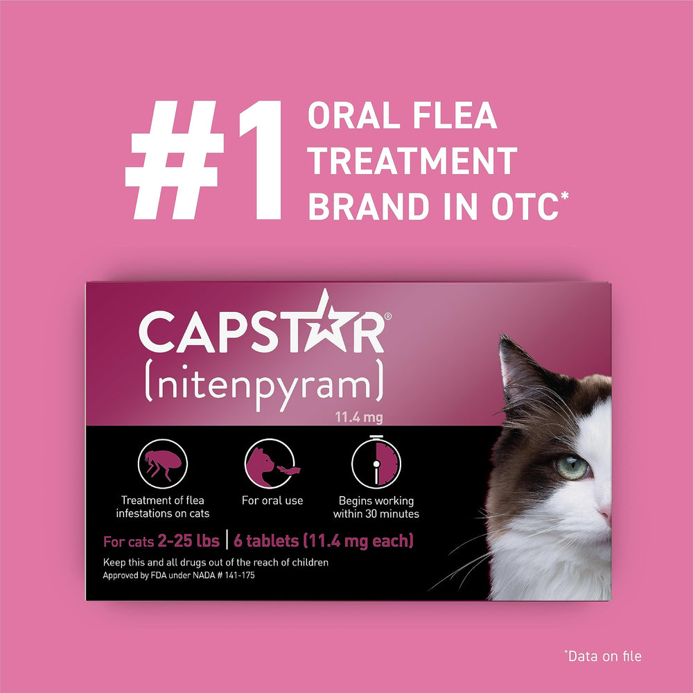 Tablettes orales Capstar pour chat, traitement antipuce efficace.