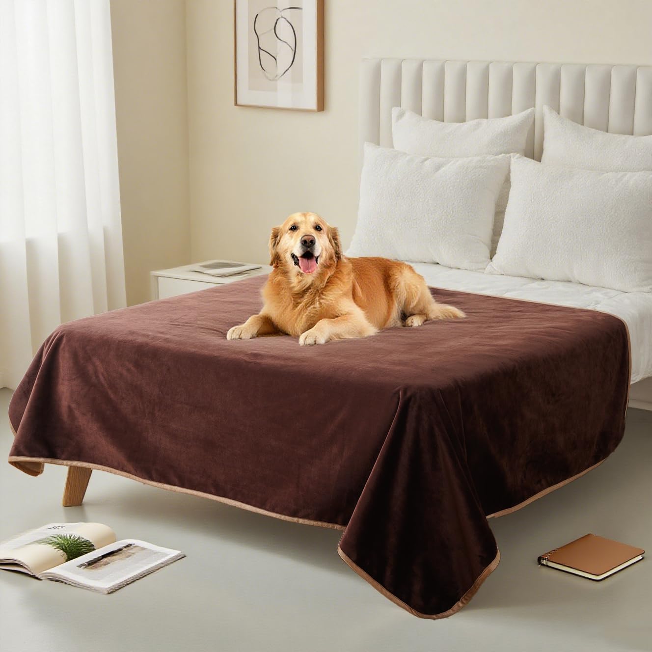 CAPT.SNOOZE idéal en voyage plage hôtel pour chiens