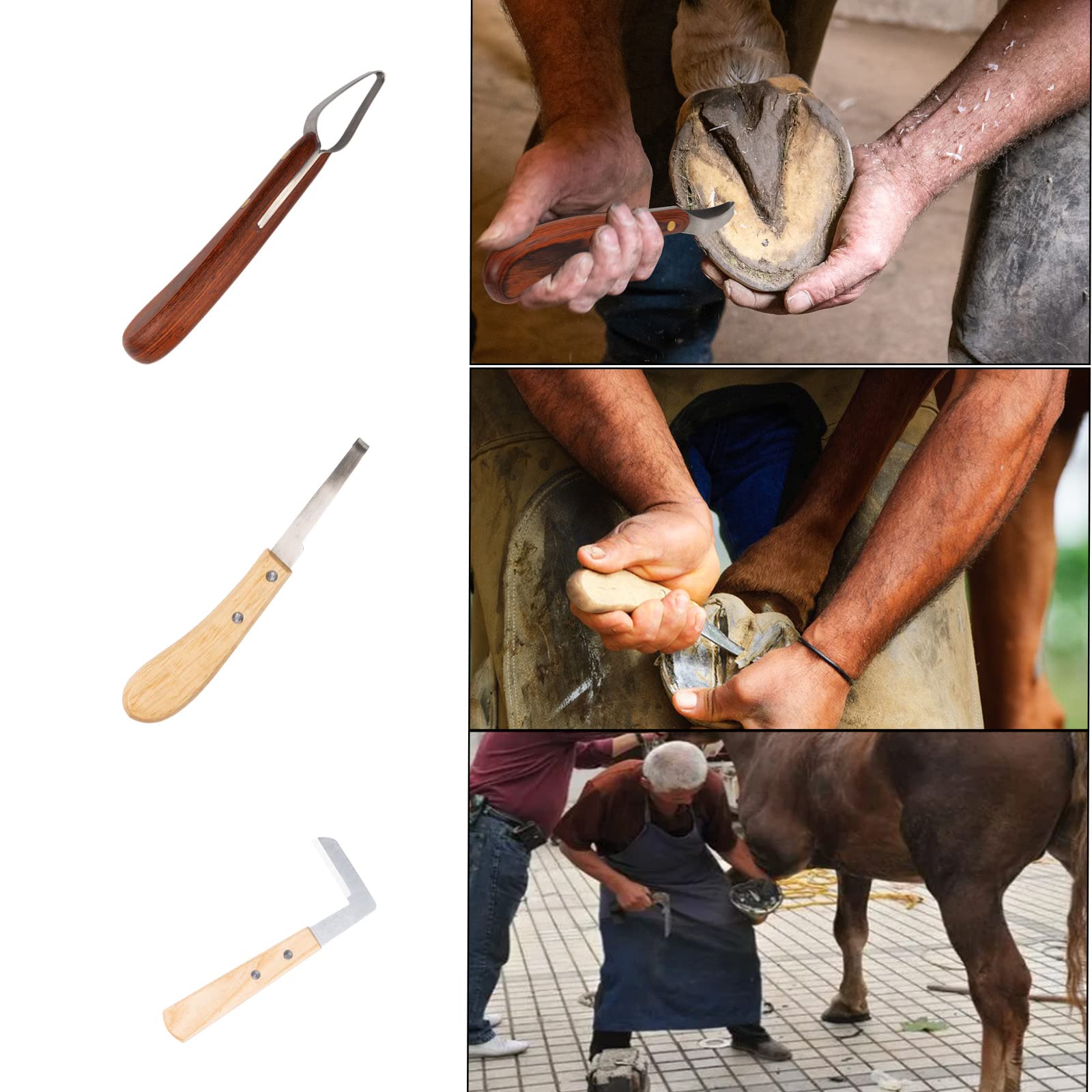 Capuca coupe-sabot cheval favorise des coupes nettes et sûres.